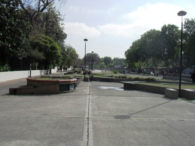 JARDIN PITA